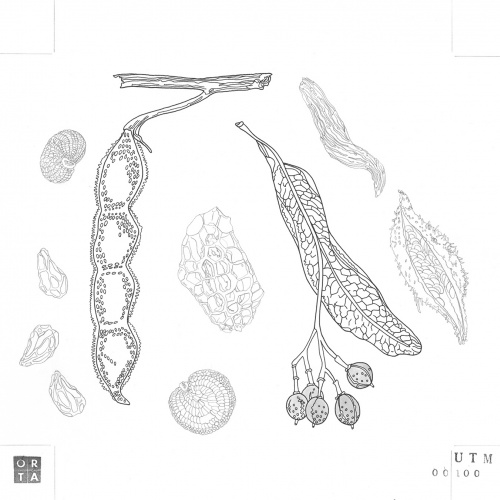 Studio Orta - 00.100