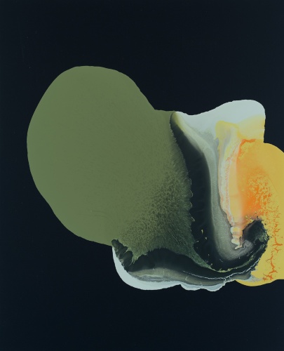 Studio Orta - 0.1977_81_100