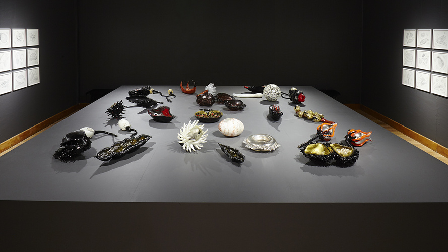 Studio Orta - 5575-Seeds 3