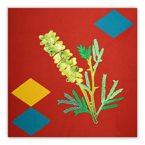 Studio Orta - Wadi Hanifah