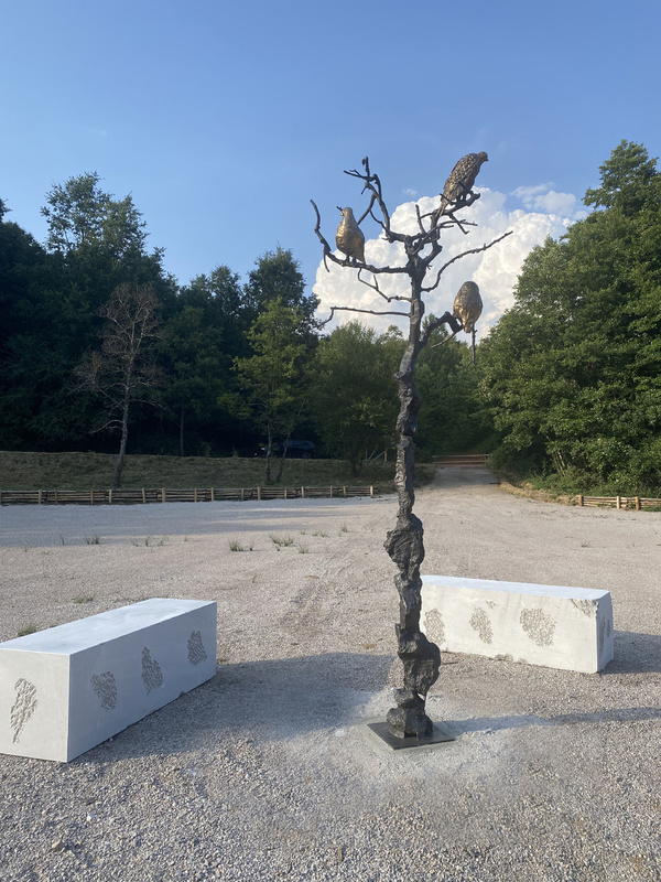 Studio Orta - Il Nido