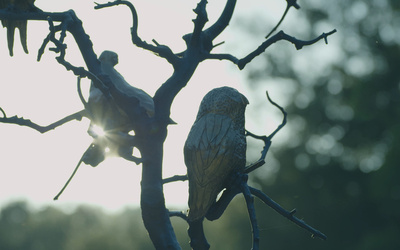 Studio Orta - Il Nido